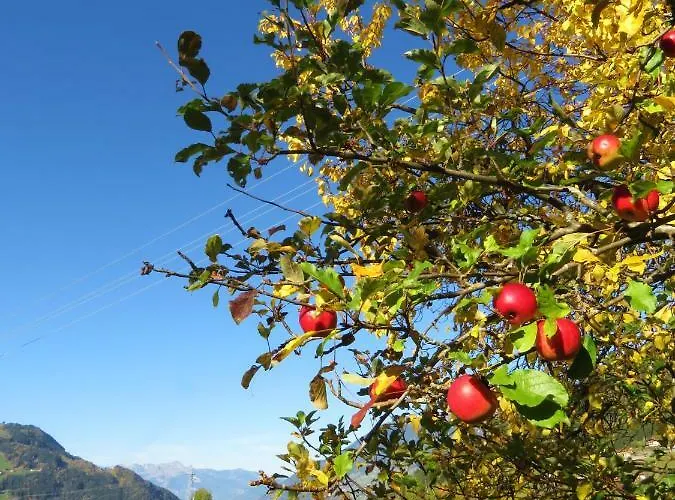 Apartament Point Hainzenberg