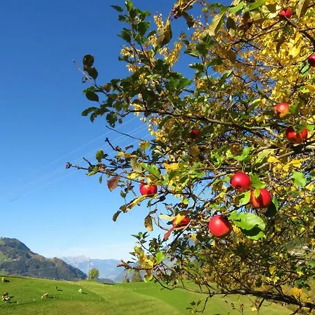 Daire Point Hainzenberg