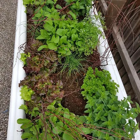 Daire Point Hainzenberg