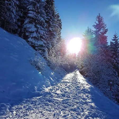 Daire Point Hainzenberg