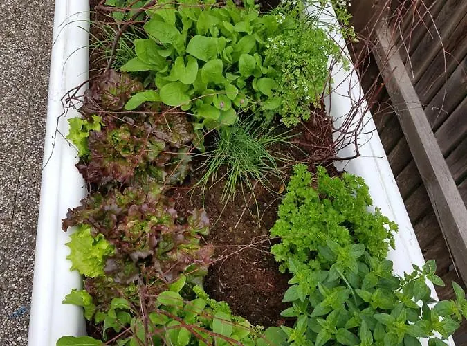 Appartamento Point Hainzenberg