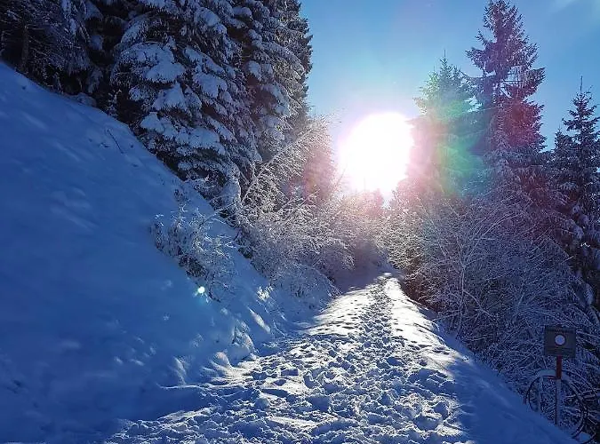 Appartamento Point Hainzenberg