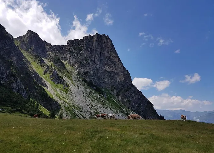 Appartamento Point *